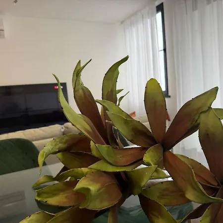 Apartamento Azores Pico Salomão T2 Cg